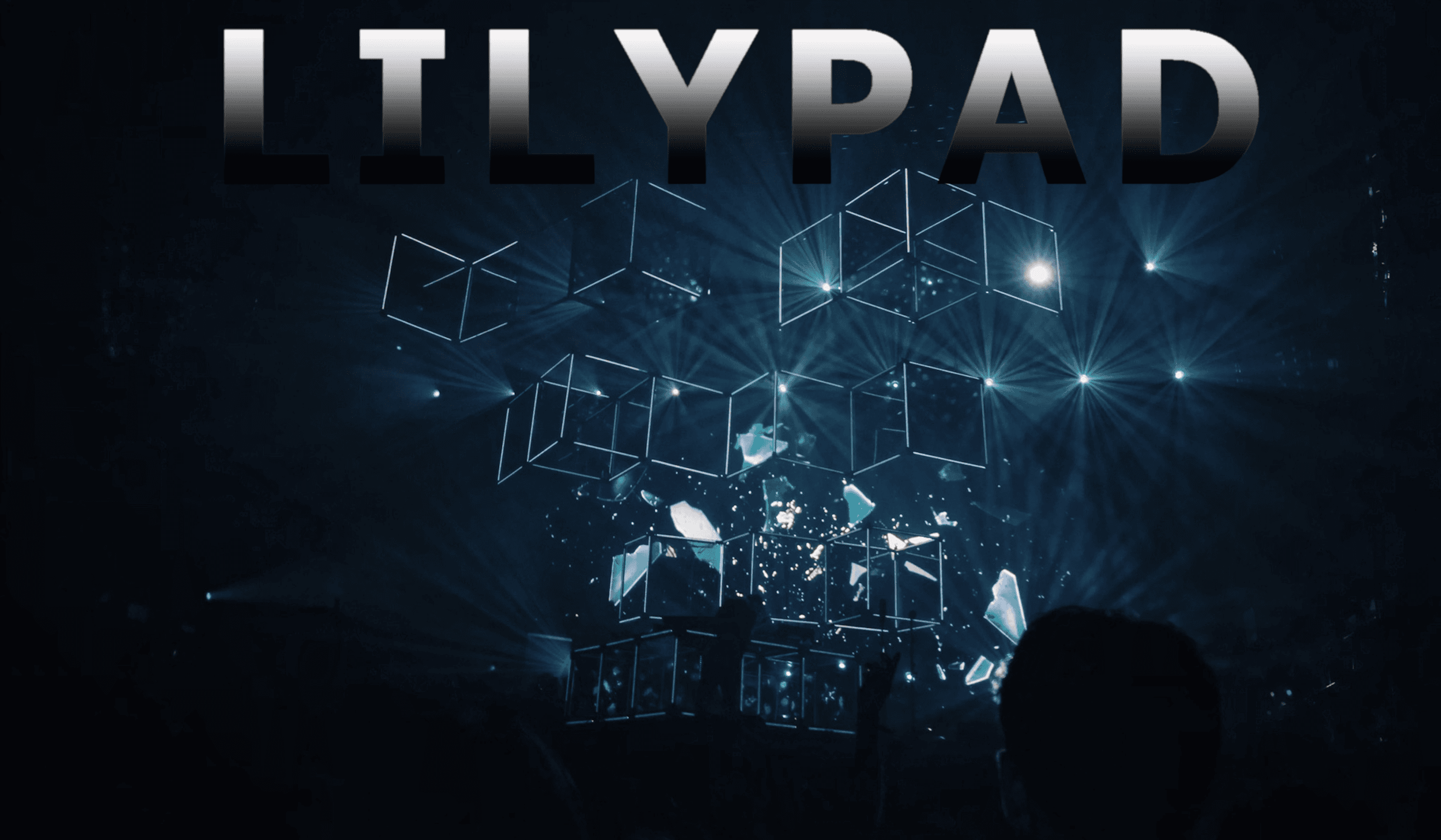 ๐ Lilypad Project Report: June 19, 2023
